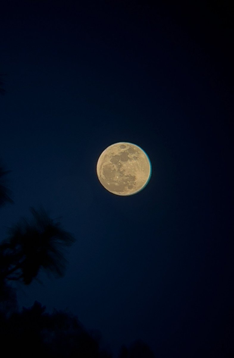 April’s Pink full Moon 2025 🌕