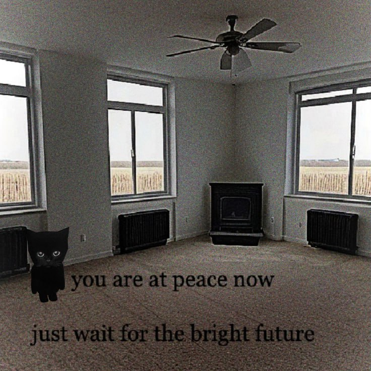 bro the cat tweet media