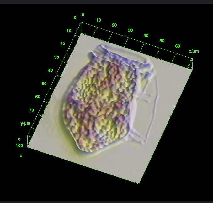 plancton_andino's tweet photo. Nuestro proyecto #ADICFito continua creciendo y agregamos cada semana mas imágenes de células del plancton de diversos lugares del mundo. #PLANKTON #DINOPHYSIS #IMAGEJ #FJORD #AQUA #PSMB #POAS #FANINDEX #ICHA2025 #HAB https://t.co/NzVPHj8zBr