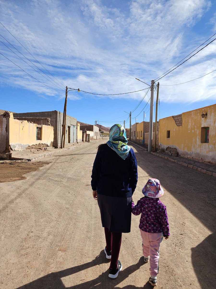 Graciela Inés Gallo tweet media