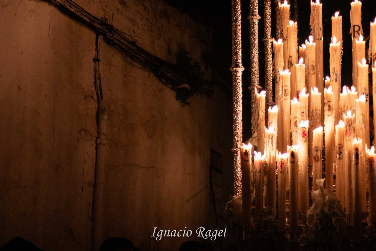 Ignacio Ragel 📸 tweet media