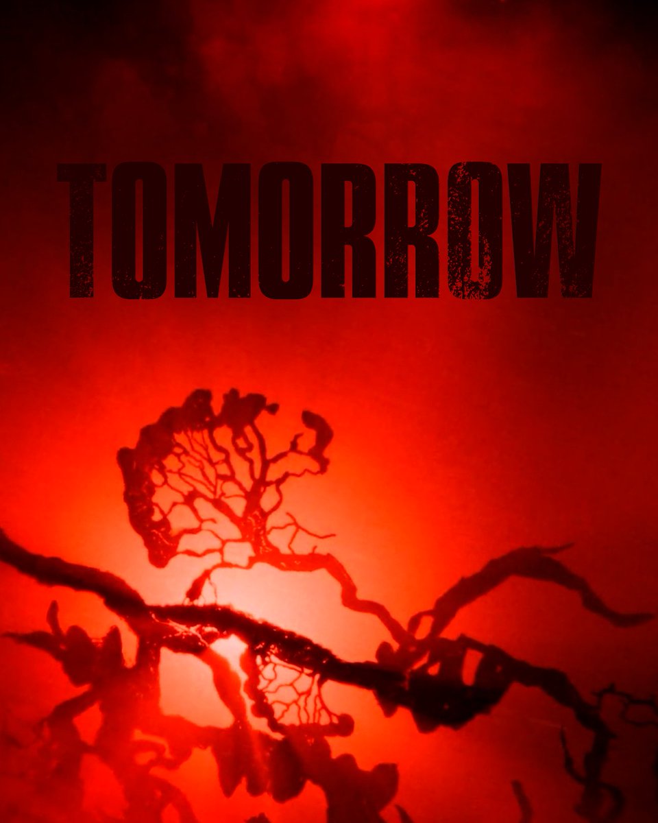 The new season of #TheLastOfUs officially premieres tomorrow!