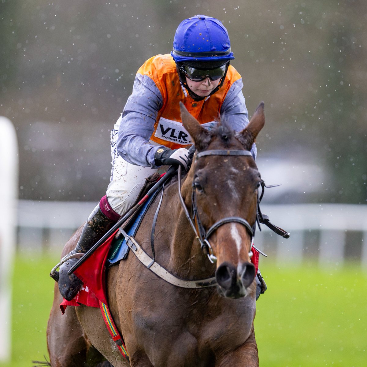 Racing Post tweet media