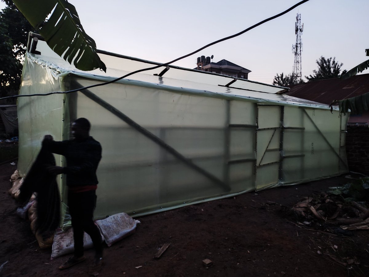 AsiliUganda's tweet photo. The use of #SolarDryers crates unique value in the #Agriculture value chain by enabling faster, safer and convenient process of drying crops.
The uses of solar dryers guarantees #Foodsafety, cleanliness and mitigation of #Postharvest losses associated with open drying methods. https://t.co/CELD2SdA6U
