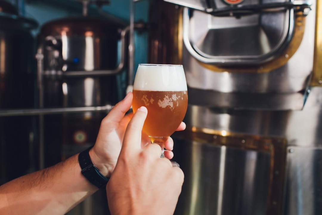 In a world full of chaos, there's beer. Need we say more?