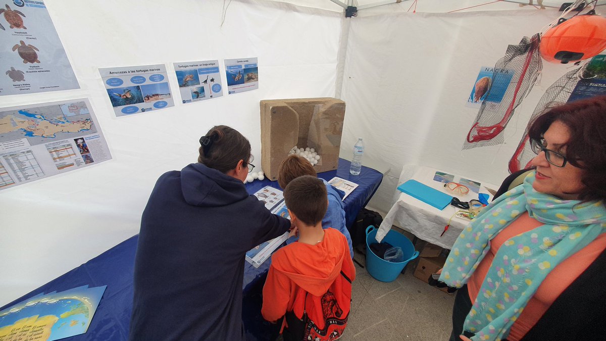 ieo_baleares's tweet photo. És a la tarda i continuem en la fira de la sépia de l'@ajtalcudia

Tenim tallers de sépia i polp 🐙, de la nacra 🦪, de les espècies que trobem en la badia d'Alcúdia 🐟🦀🦐🦑🪸 i sobre tortugues marines 🐢🌊 

No us ho podeu perdre. Ens trobereu fins a les 20h https://t.co/rezoNvndMj