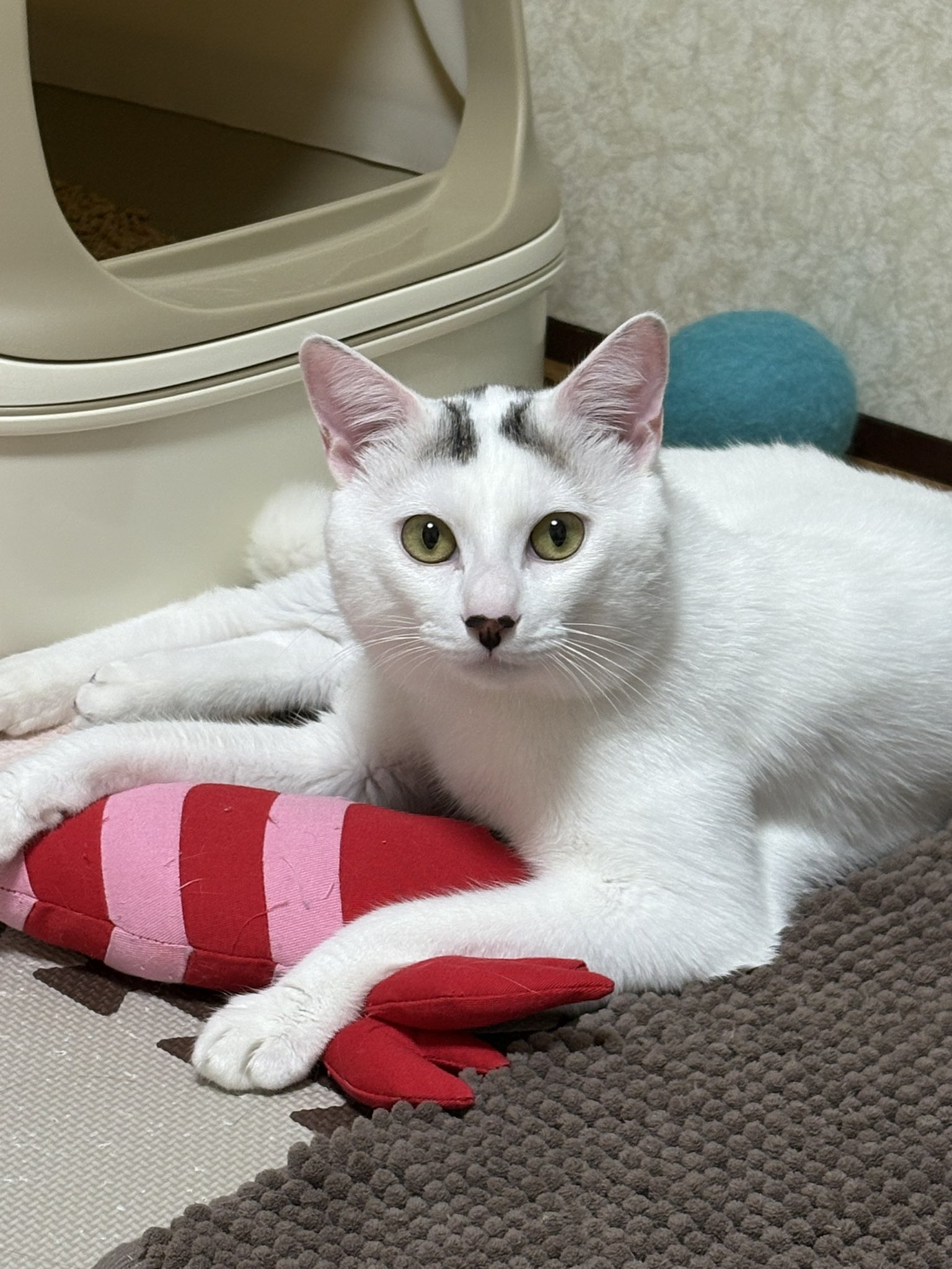 うゆ🍼우유 (@uyu417) / X