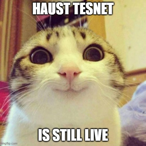 RobySambora's tweet photo. #HaustGenesisDayArt 
@LanaKovalski @HaustNetwork https://t.co/tiGXn9r7gi
