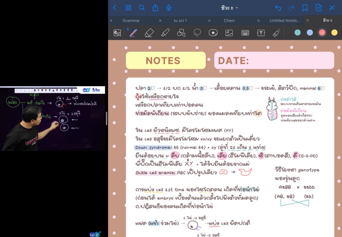 wmejwf's tweet photo. -` 9-12 𝐀𝗉𝗋𝗂𝓁*️⃣ ´- 🍵
♡ กลับมาอ่านหนังสือแล้ววว ช่วงนี้ทำโจทย์วิดคนิต+ทวนเนื้อหาวนไปป ଘ(੭ ◜ ᵕ ◝)੭🍐🧣💬
#studywnni #dek71 https://t.co/nWBLLN4pSI