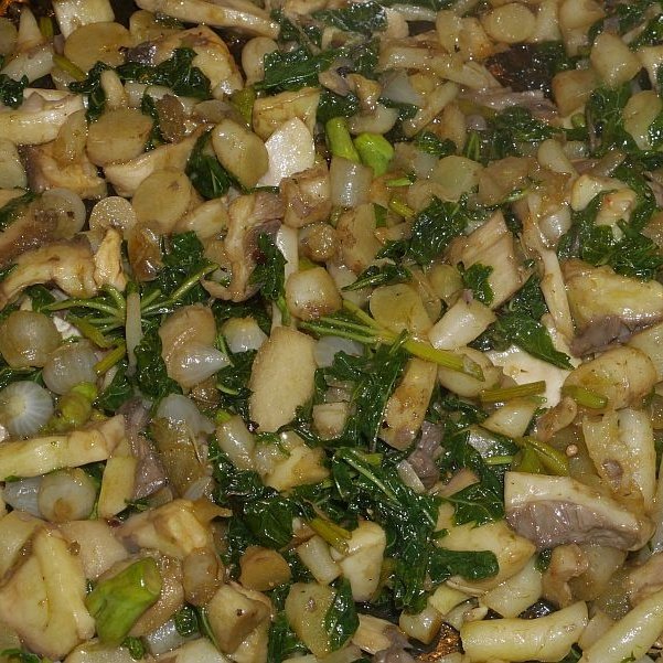 UMBONDWE/AMATAPILE:🌱

(The forgotten wild potatoes of Africa)

These wild potatoes are native to Africa, and they are part of the mint family; they are very nutritious and beneficial. These wild potatoes can aid numerous subsistence farmers as they are indigenous...