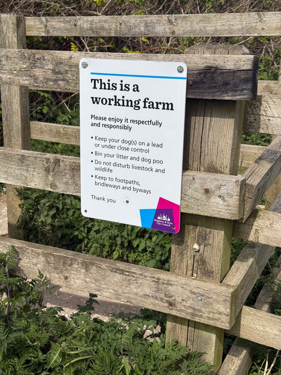 rubyandjoshua's tweet photo. When the Brighton and Hove bus service is so appalling that you have to make your own way and end up hopelessly lost in the middle of nowhere on a farm https://t.co/wio9USySvA