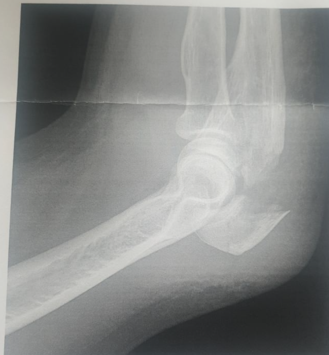 Allyourbase Degenhard | #🅂🄴🄻🄻🄽🄴🅅🄴🅁 | 🍌🇩 tweet media