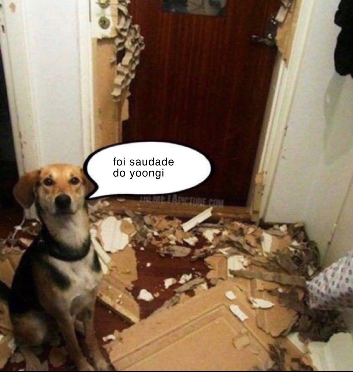 gio⁷🪬 (@jinsgogh) on Twitter photo 