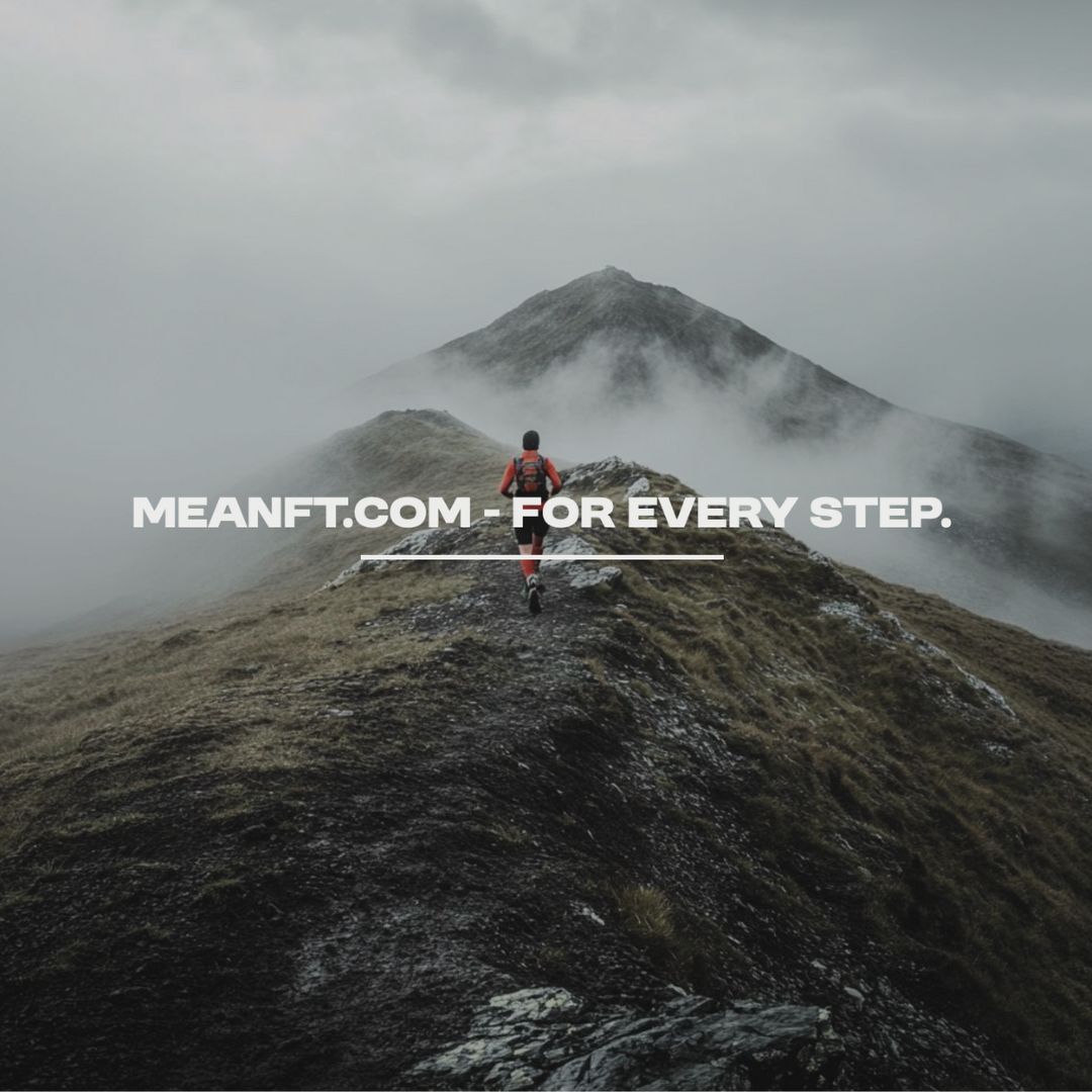_meanft's tweet photo. Want quality trainers without the high price? We’ve got you covered 📢 https://t.co/GxqYlBWkH2 https://t.co/1WILboy3MY