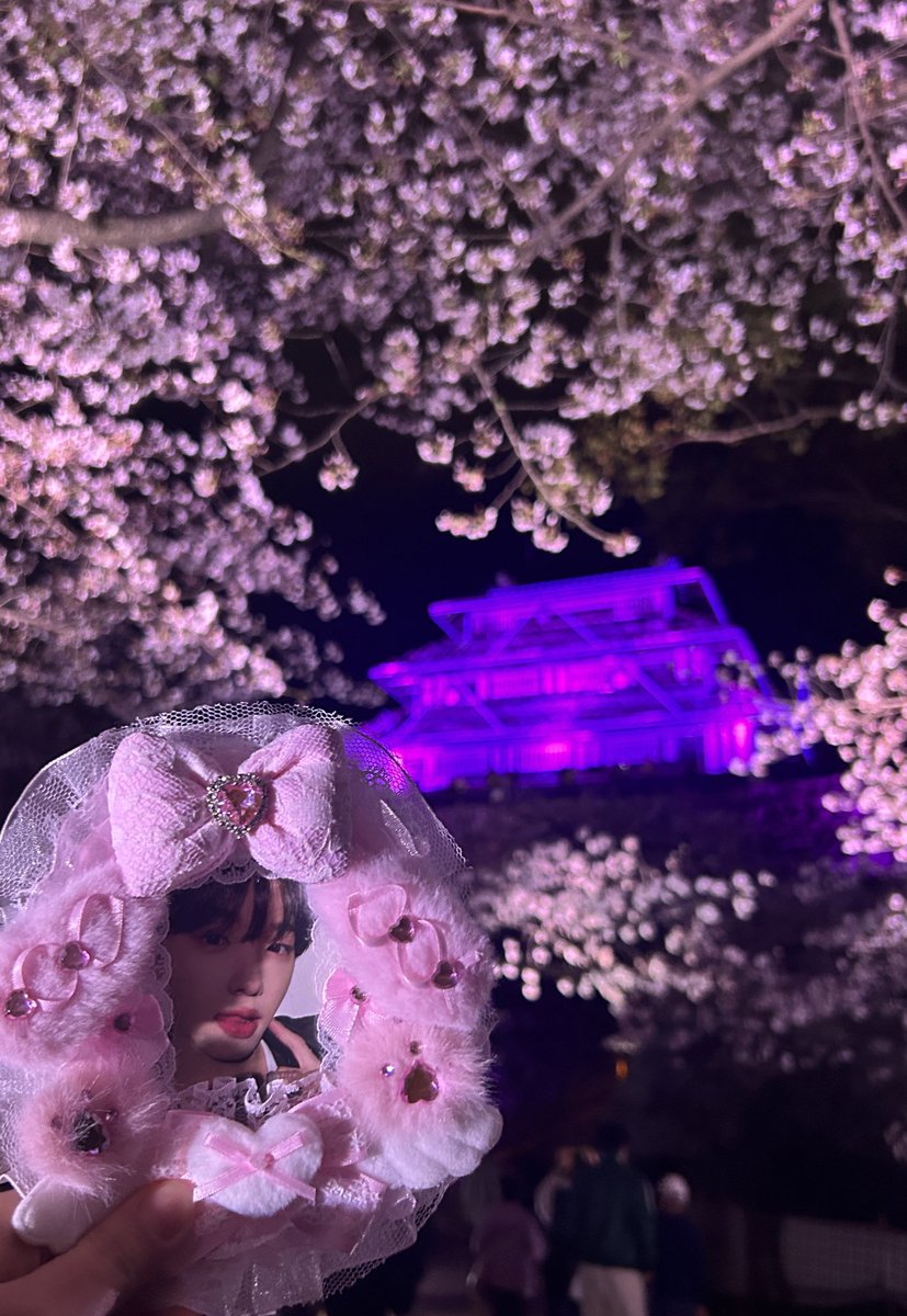 Tweety_Bird0909's tweet photo. ドンピョとお花見🌸 https://t.co/yAP6RYkk60