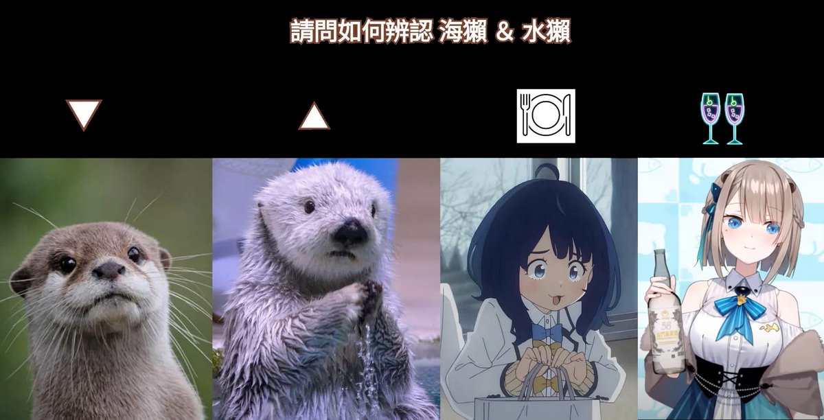 #SeeMe露  
🤣🤣🤣