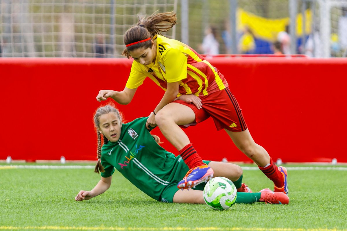 Federació Catalana de Futbol tweet media