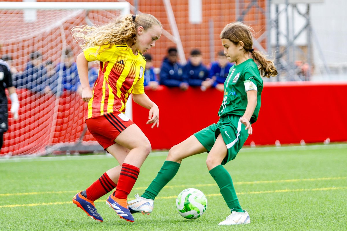 Federació Catalana de Futbol tweet media