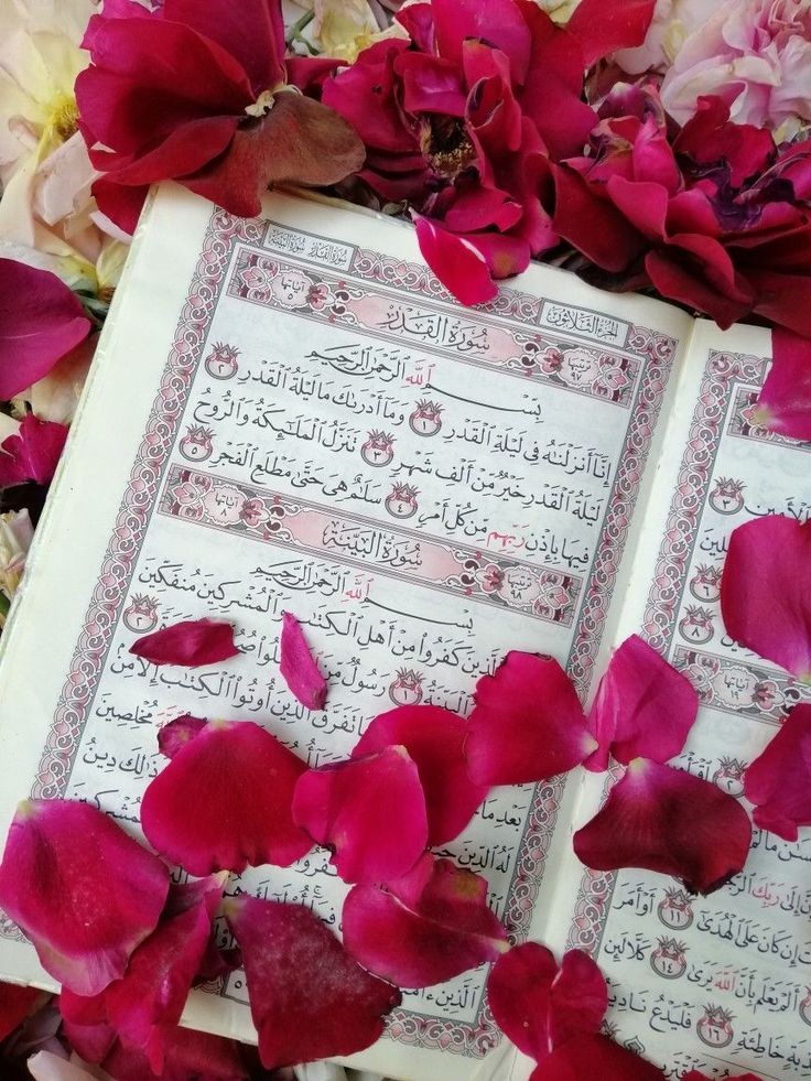 القرآن...

اور ظاہری اور پوشیدہ (ہر طرح کا) گناہ ترک کر دو جو لوگ گناہ کرتے ہیں وہ عنقریب اپنے کئے کی سزا پائیں گے

الأنعام
120-6

࿐ہیر༆