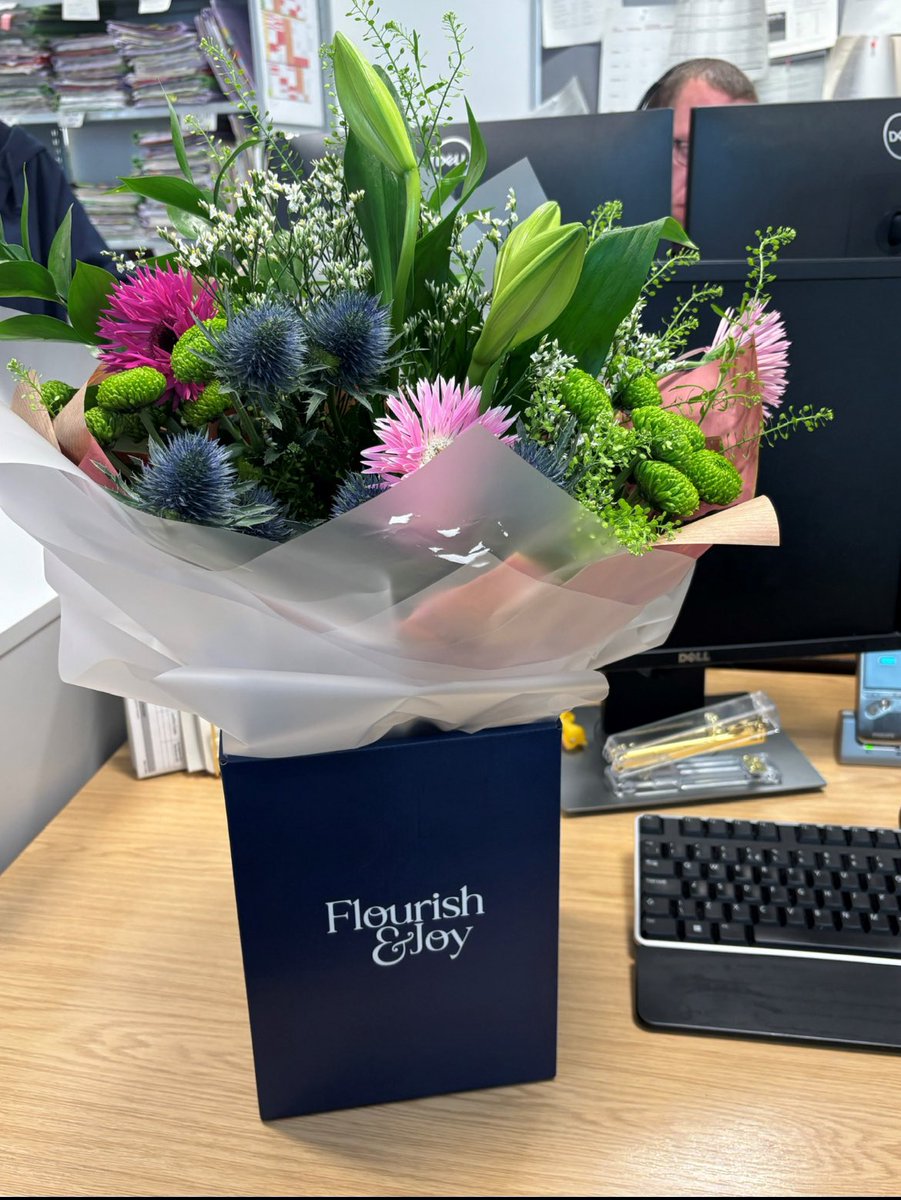 SFH T&O Team tweet media