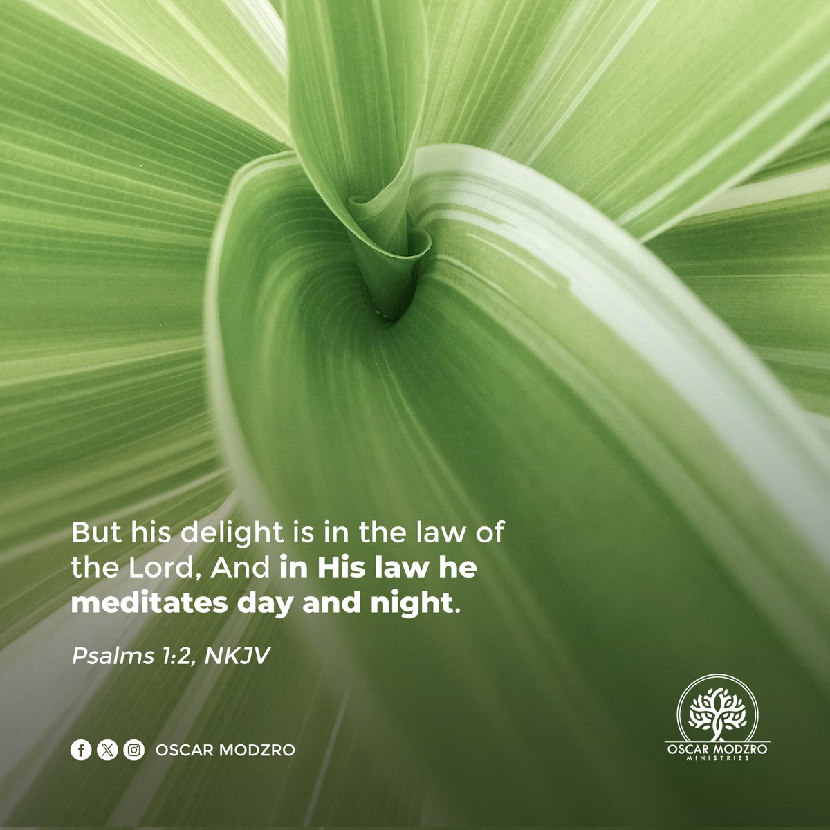 OscarModzro's tweet image. The word of God is a dependable and powerful tool given to us by God to guide us to know Him, find ourselves in Him and teach us how to walk with Him and others. As a child of God, your delight should be in the word. Studying and meditating upon it day and night. Read your Bible!