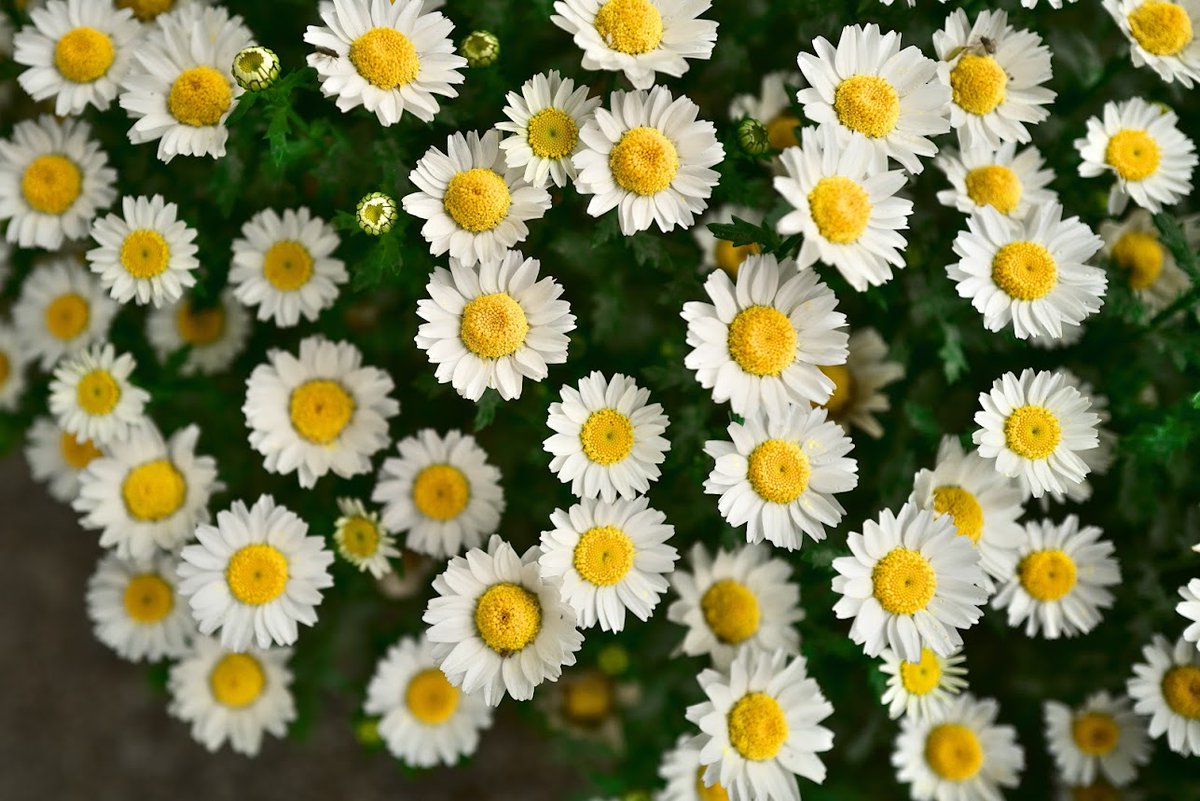 幸せの瞬間には
必ず他者が関わっているのですね
そばにいてくれてありがとう