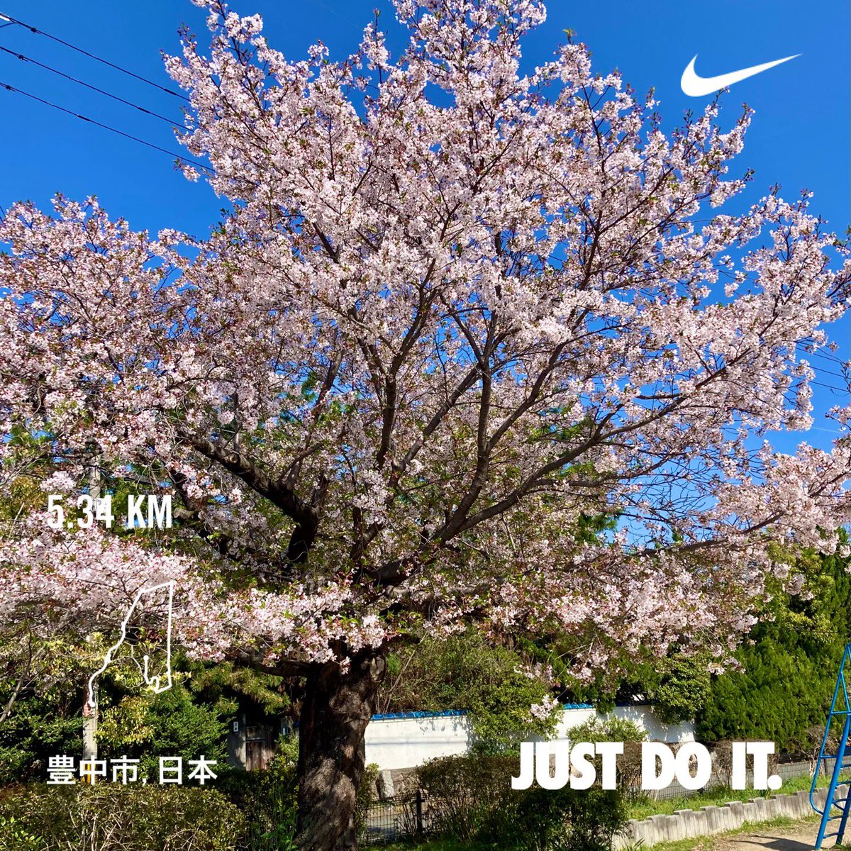 hSakuta1126's tweet photo. 朝ラン🏃
明日は終日雨☔予報なので最後のお花見🌸
大阪関西万博開幕　楽しみです😊

#朝ラン
#千里川 
#お花見ラン 
#大阪関西万博開幕
#走れる事に感謝 https://t.co/D7byQY3bdD
