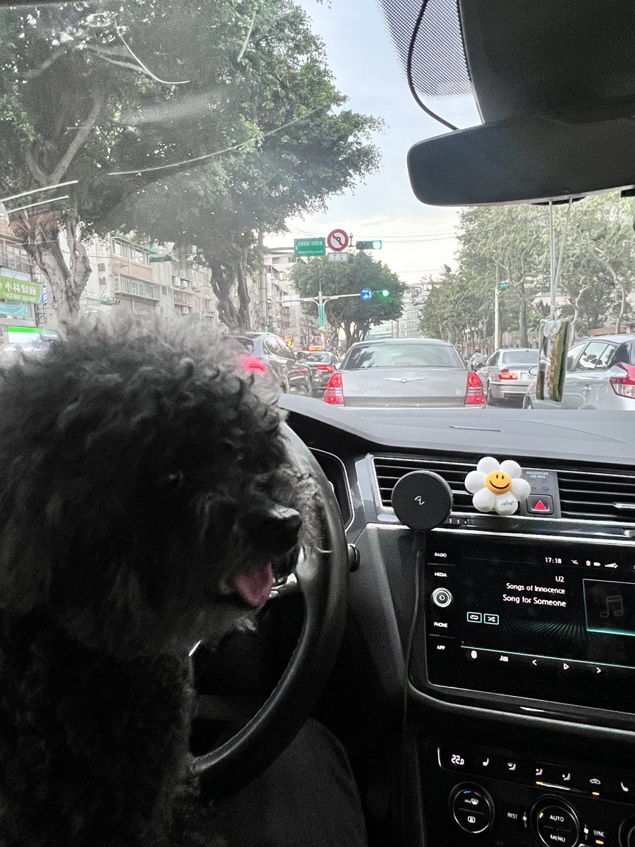 🐶