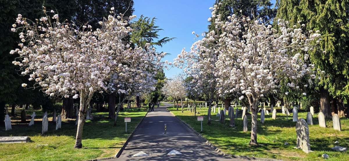 philipjandrew's tweet photo. The sun is finally out and Spring has sprung. At last. https://t.co/DIJJcTEvbW