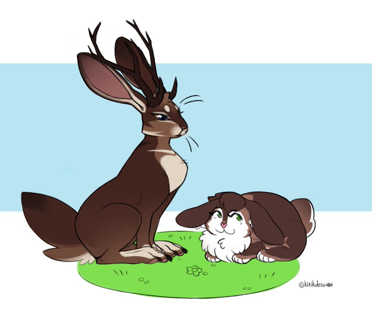 kitikdesu's tweet photo. Visual differences between hare and bunny
Cuties belong to @quillymays https://t.co/uJFVYI0cfq