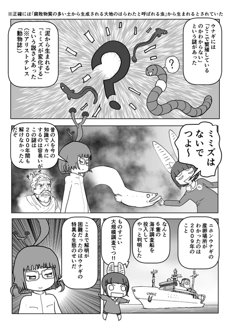 色々と誤解されてそうな動物を漫画で解説していくぞい。  第33回「ウナギ」2/2 #クック先生の動物講座 #漫画が読めるハッシュタグ #マンガが読めるハッシュタグ #ウナギ 