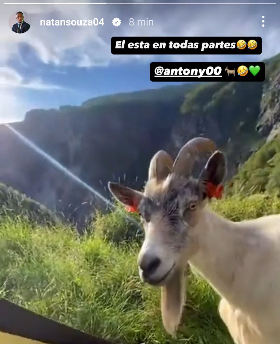 CapiFekir's tweet image. 