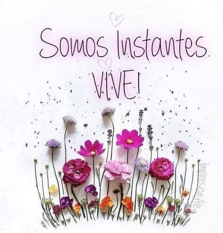 🌸🍃🌿🌾🌸🍃🌿🌾🌸
