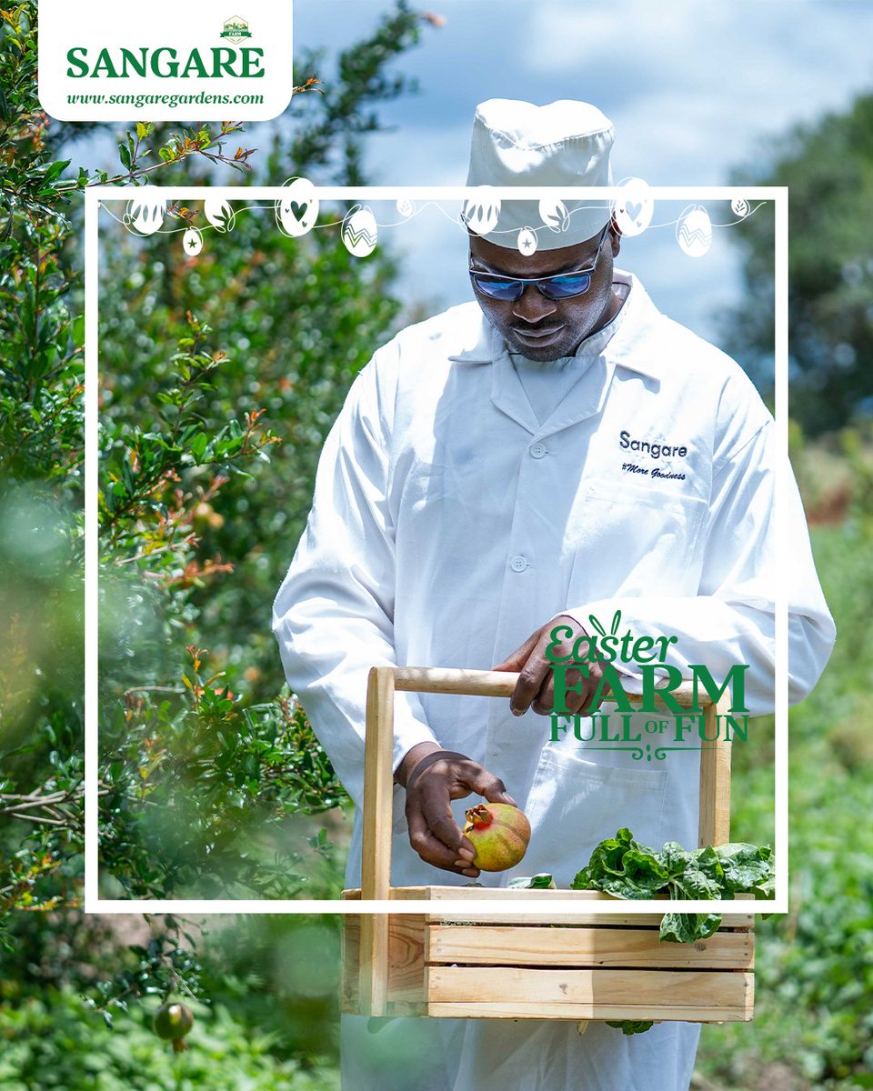 Experience the joy of farm-fresh living.

Dine on organic produce and enjoy the simple pleasures of the countryside.

📍 Reserve your stay now!
📞 Call 0739900070 or 0706562231
📧Contact booking@sangaregardens.com

#SangareBoutiqueFarmStay #EasterFarmFullofFun