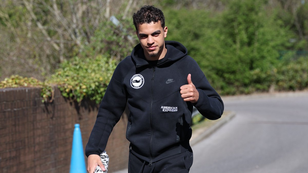 Brighton & Hove Albion tweet media