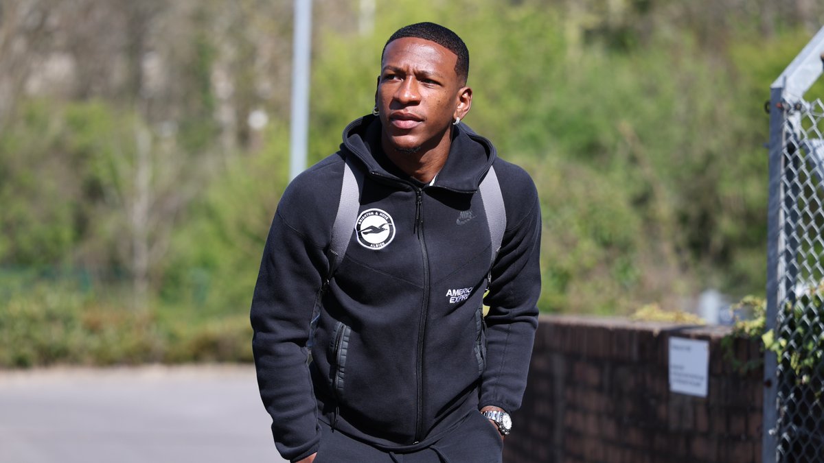 Brighton & Hove Albion tweet media