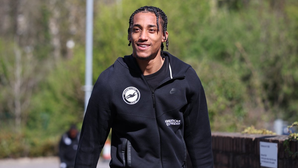 Brighton & Hove Albion tweet media