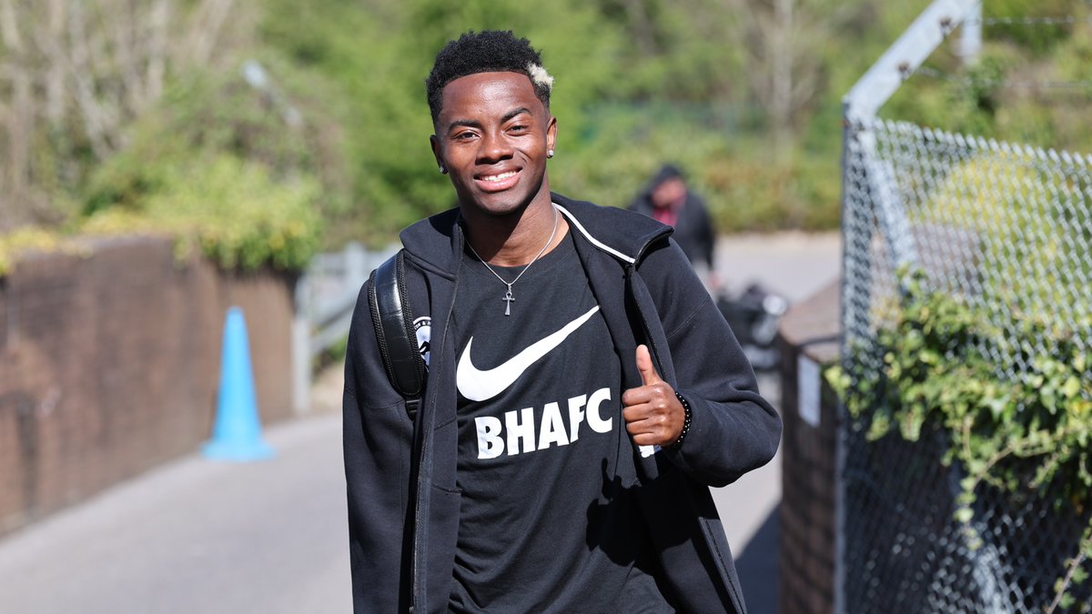 Brighton & Hove Albion tweet media