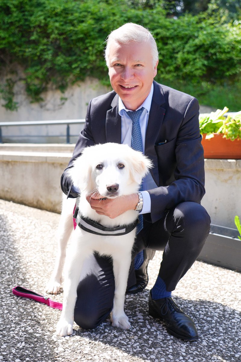 À l’ <a href="/hopitalAntibes/">Hôpital d'Antibes</a> avec Eko 🐶
La médiation animale plaît beaucoup aux patients, enfants comme adultes 🏥
<a href="/AntibesTourisme/">Antibes Juan les Pins 🌳🌊☀</a> <a href="/ARSPaca/">ARS Paca</a> <a href="/Sante_Gouv/">Ministère de la Santé et de l'Accès aux soins</a>