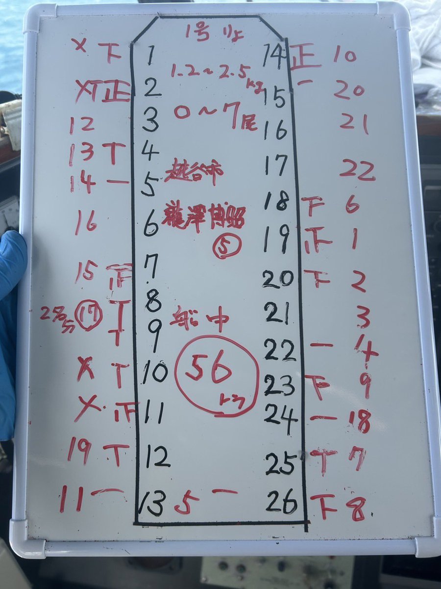 ryo_chan_turi's tweet photo. 今日は朝から広く反応見えて当たりもバリバリ出る時間帯あったけどバラし過ぎでした❗️
当たり出るまでは船長の仕事だけど当たってから取るか取らないかはお客さんの好き勝手だから、���のまま4時間流しっぱなしで50個近く船に入りました‼️
反応もいい出方です、船中56匹
キャッチ率高ければ凄いことに… https://t.co/uUSUXY1zZ4