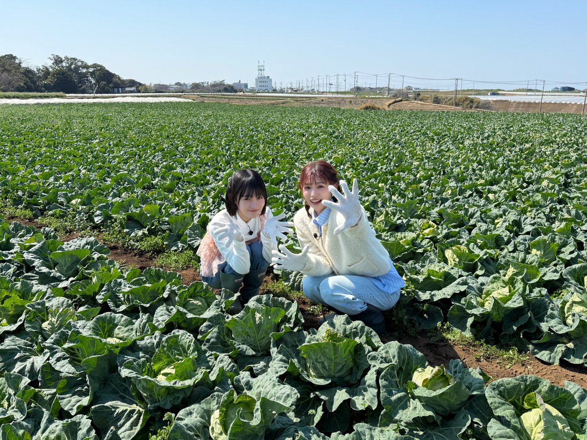 official__ME_I_'s tweet photo. 🫧 : #今日のミーアイ

20250412
@ 日本テレビ「満天☆青空レストラン」

#SHIZUKU #RAN 
┈┈┈┈┈┈┈┈┈┈┈┈┈┈┈┈┈┈
ME:I 3RD SINGLE "𝓜𝑼𝑺𝑬"
2025.04.16 Release
🎧 https://t.co/wtnmBipIlY
🐾 https://t.co/8Axx4XAtMa

#오늘의미아이 
#青空レストラン 
#ME_I #ミーアイ #미아이 https://t.co/q62Au1uh6f