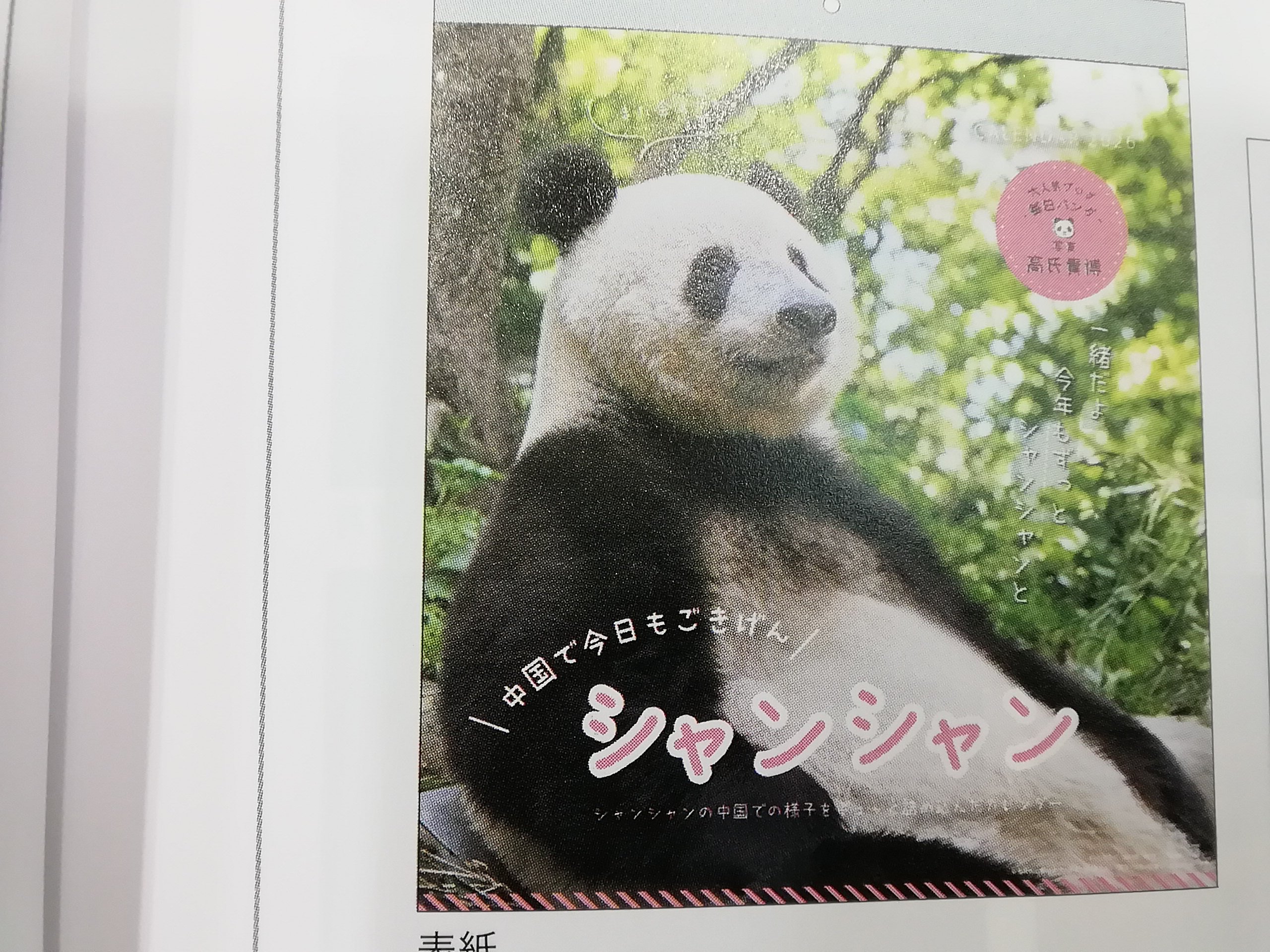 パンダさま専用 さくぱんださま 専用ページ パンダさま専用