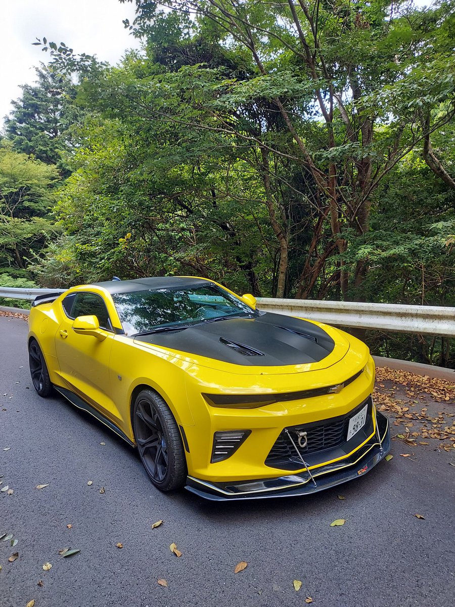 低カロ tweet media