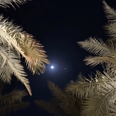 rahaf_579's tweet photo. #صورة_جديدة_للملف_الشخصي https://t.co/1kgBFK7Wtl