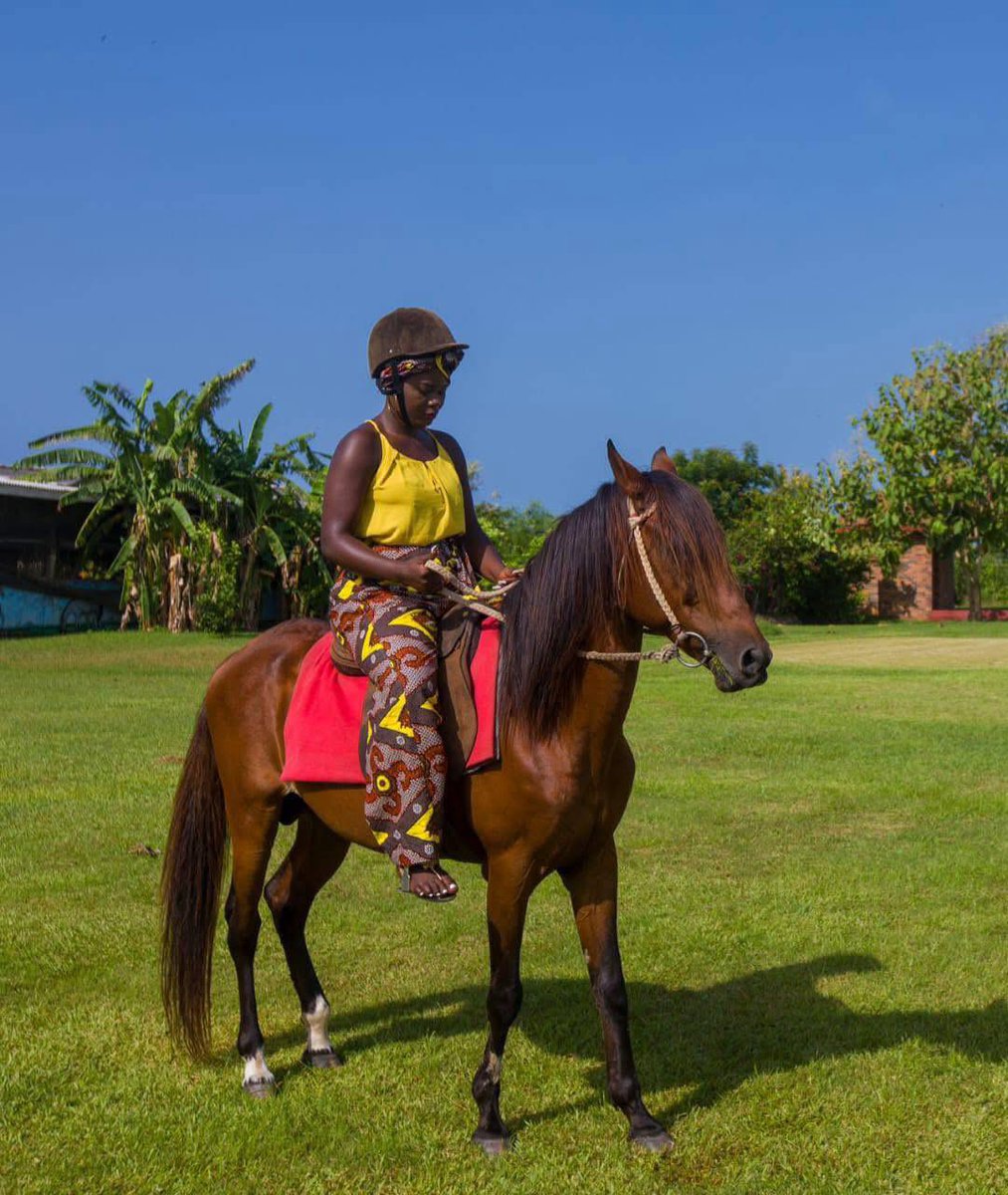 cgbr_elmina's tweet photo. DID YOU KNOW?

#4 – Horseback Riding is One of Our Signature Experiences!
Explore our scenic property and nearby beach trails on horseback – a unique and relaxing way to take in the beauty of Elmina.
Reconnect with nature, one step at a time.
#coconutgrovehotels #Elmina #Ashantif https://t.co/0bOLZ81HIt