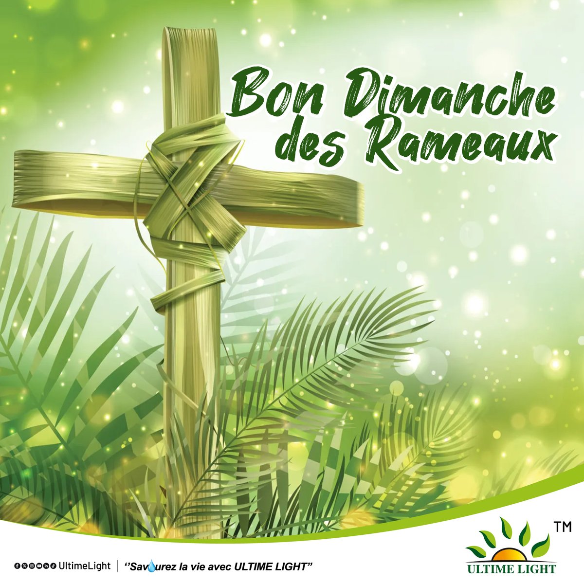 UltimeLight's tweet photo. Bon dimanche de #Rameaux toute la communauté chrétienne. #Douala #Cameroun #Yaoundé #Buea #UltimeLight https://t.co/DgTbJHik0E