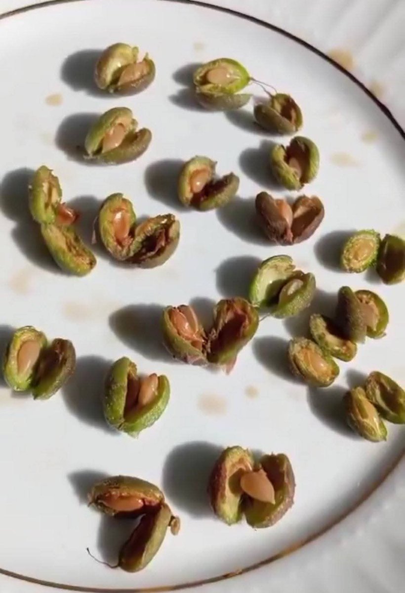 Malatya’yı seven herkesi bu akşam 20.00’de 

#KayısılarYandıUmutlarSöndü 
etiketiyle paylaşım yapmaya davet ediyoruz.

Birlik olalım, ses olalım!!