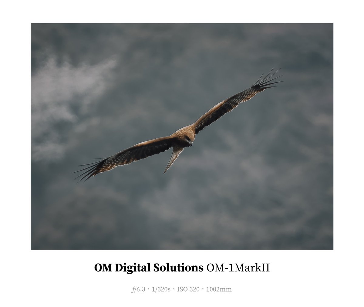 長時間だと手がぷるぷるしちゃう🤣