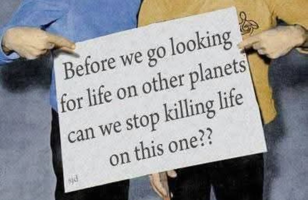 Louei Ali, MBA, PCC tweet media