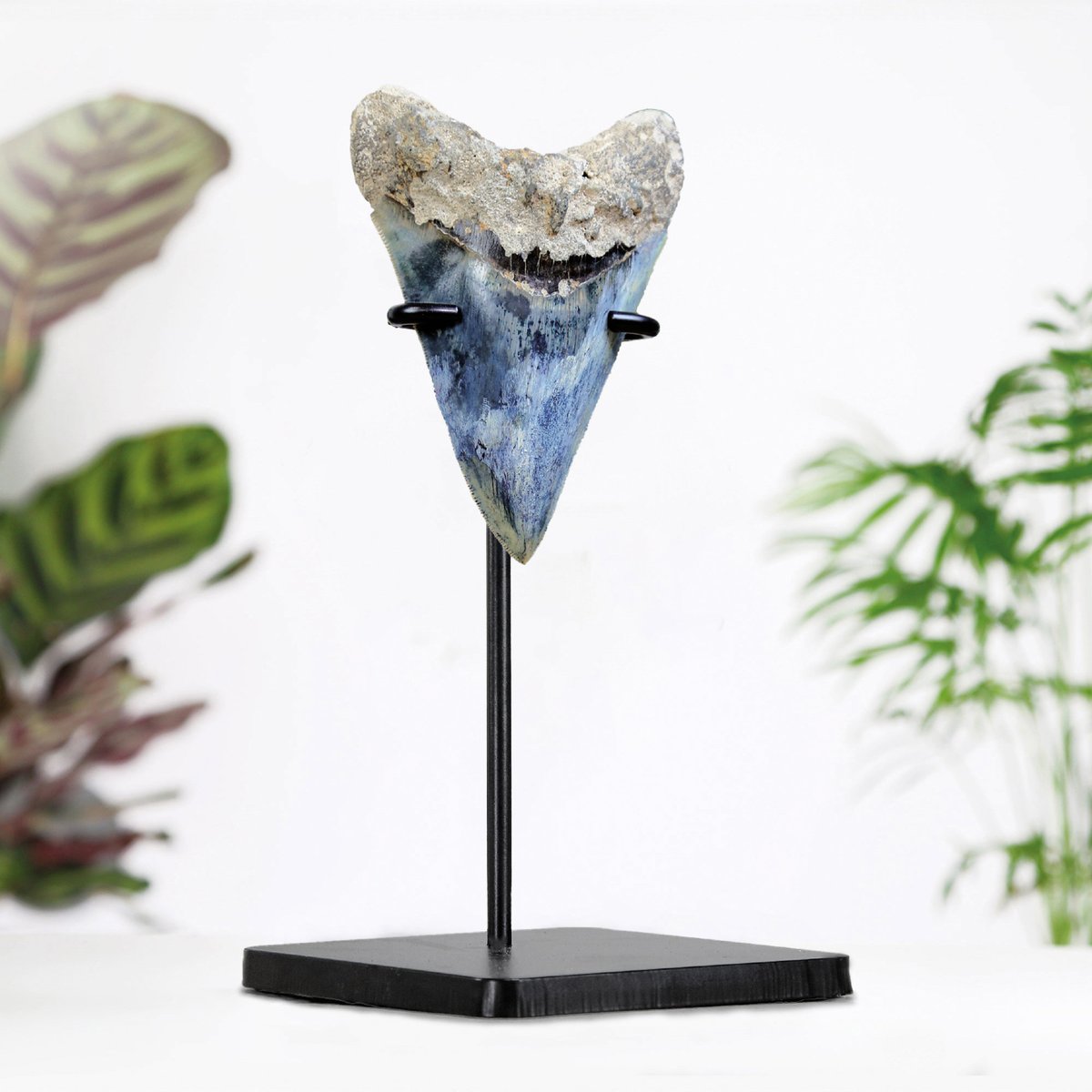 CuratedStudio tweet media